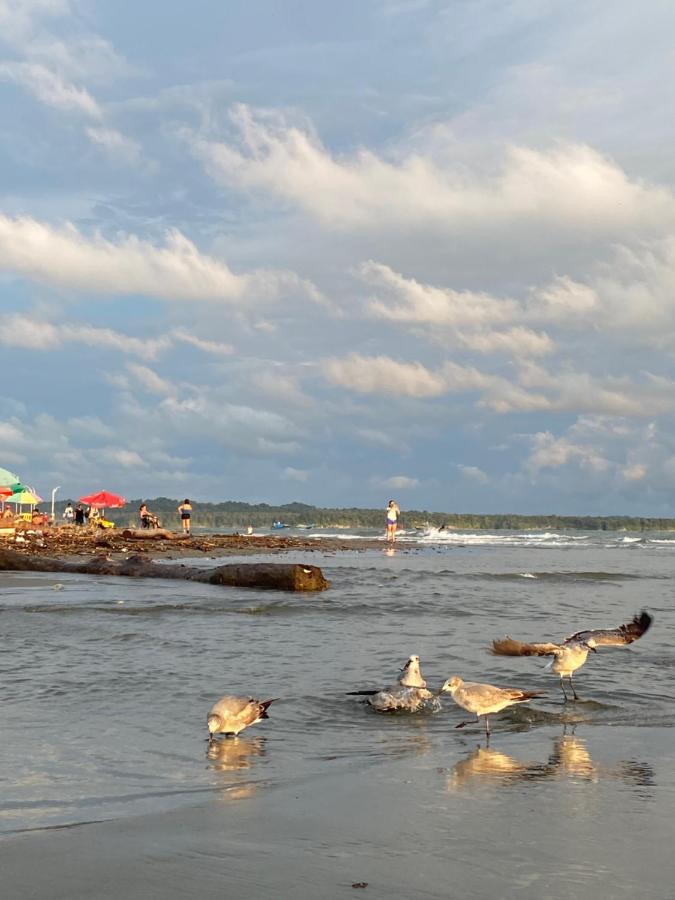 Acuarios Hostal Playa Ladrilleros Екстер'єр фото